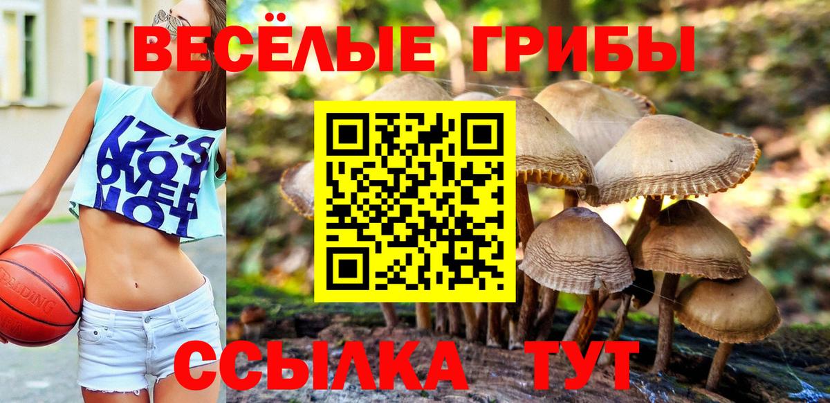 Улан-Удэ  Псилоцибиновые грибы Magic Shrooms  Вход с VPN 