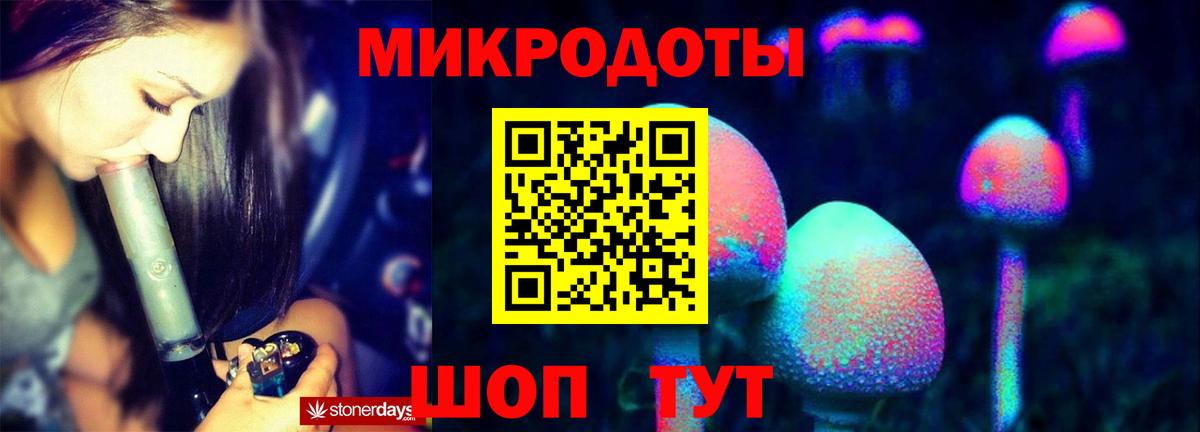 Псилоцибиновые грибы Psilocybe Улан-Удэ